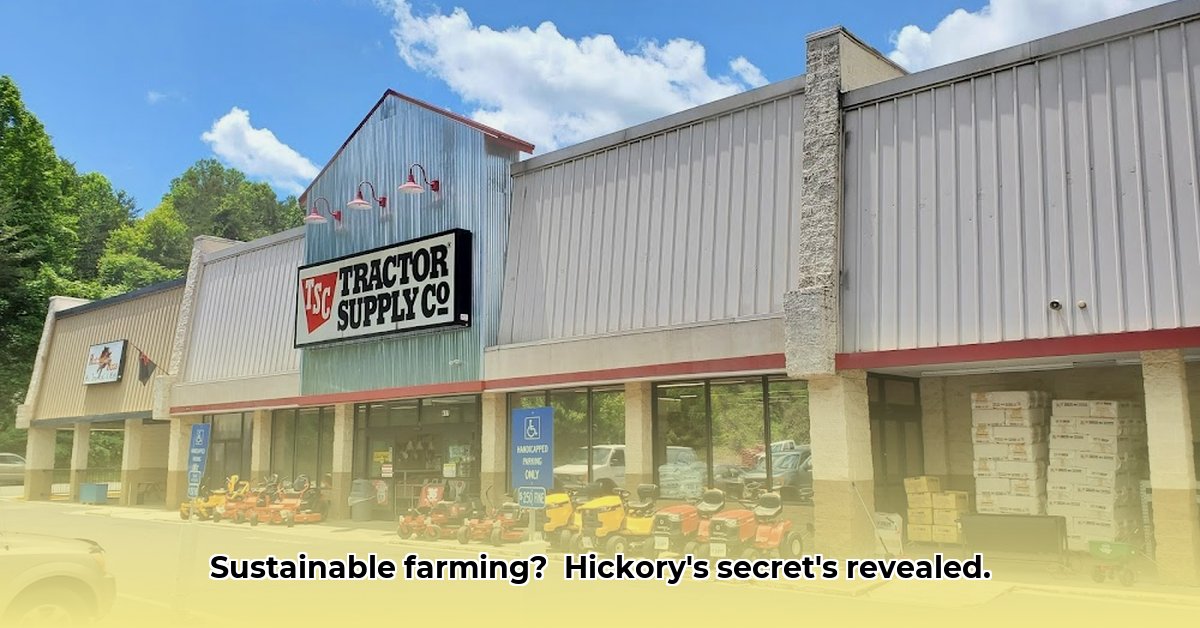 carolina-tractor-supply-hickory-nc